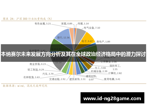 本纳赛尔未来发展方向分析及其在全球政治经济格局中的潜力探讨