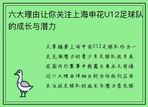 六大理由让你关注上海申花U12足球队的成长与潜力